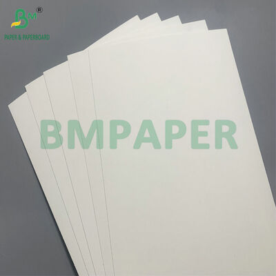 Biodegradable & Microwave Safe Paperboard For Making Disposable Bowls For Salad