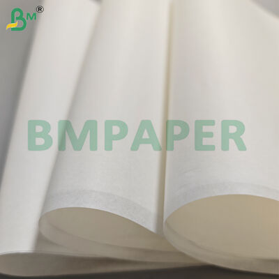 30gsm-80gsm Oil Resistant Paper Rolls for Oily Food Packaging