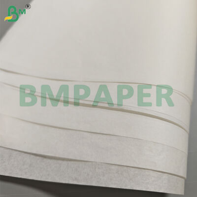 30gsm-80gsm Oil Resistant Paper Rolls for Oily Food Packaging