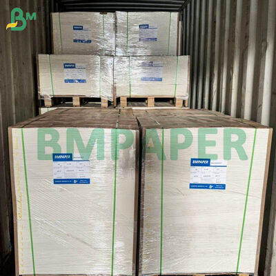 Microwave - Safe Food Paper For Paper Plates, Cups Cut Resistant