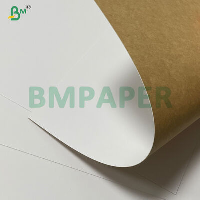 240g - 300g Tear Resistance Clay Coated With Natural Brown Paperboard CCKB 
