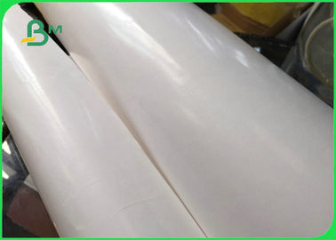 Biodegradable Single PE Laminated Coated Paper Jumbo Roll For Food Wrapping Paper