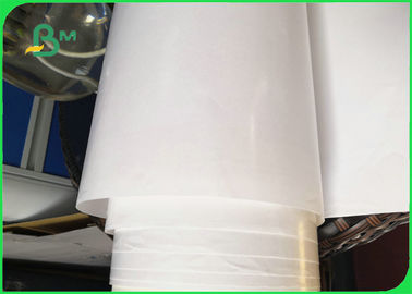 Biodegradable Single PE Laminated Coated Paper Jumbo Roll For Food Wrapping Paper