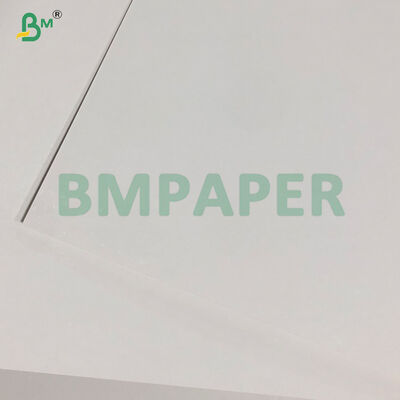 400gsm White One Side Coated Blister Cardboard For Packaging 635 x 940mm
