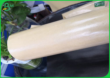 100% Biodegradable 40gsm 50gsm 60gsm PE Coated Food Grade Paper Roll For Food Wrapping