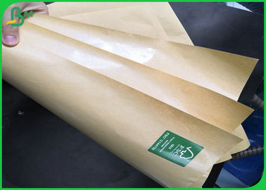 100gsm + 10gsm PE Single Side Coated Oil Resistant Food Grade Paper Roll