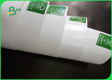 31 - 98 Inches Food Grade Paper Roll / Oil Proof Brown Or White PE Coated Kraft Paper For Packaging