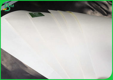 Eco - friendly White Food Grade Paper Roll , 160gsm + 10 gsm PE Coated SBS FBB Paper Roll For Food Packages