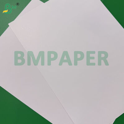 24pt 18pt Solid Bleached Sulfate Paperboard Food Grade Plate Paper 27" X 39"