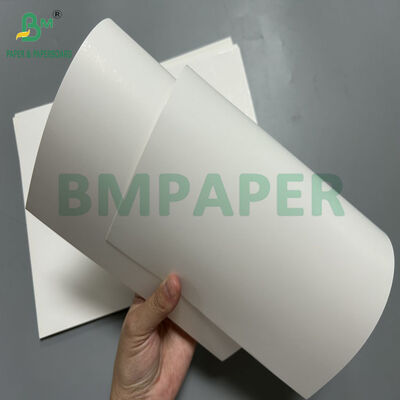 300gram 350gram Food Safety Greaseproof Cardboard For French fries Pack SRA1 Size