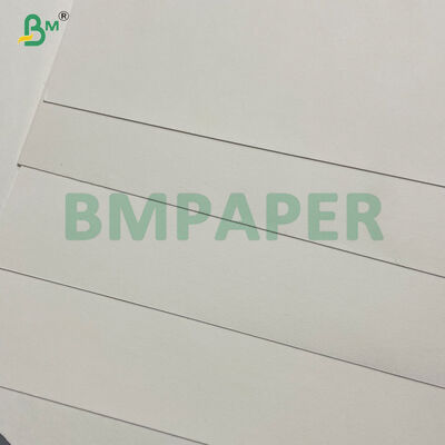 High Stiffness PE Laminated Paper For Disposable Hot Soup Noodle Bowl Printable
