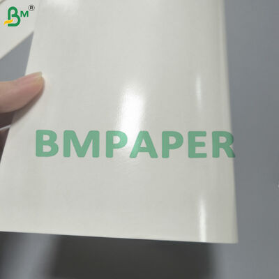 Food Safe Cupstock Paper PE Coated Paper For Hot & Cold Beverages