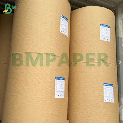 40gsm Silicone Coated Paper Rolls 1200mm Roll Width for Baking