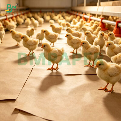 75g Absorbent Bedding  Anti-slip Paper For Chick Waterfowl Hatchery
