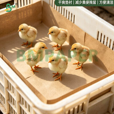 75gsm Brown Chick Paper 100% Recycled Biodegradable Poultry Bedding Paper Roll For Hatchery
