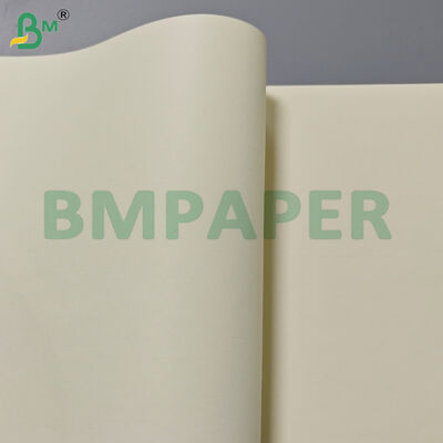 80gsm Cream Color Book Paper Rolls 715mm Width for Printing