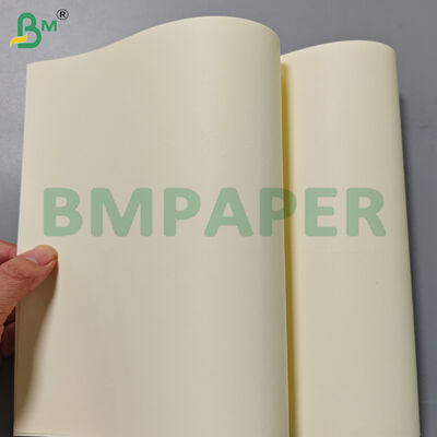 80gsm Cream Color Book Paper Rolls 715mm Width for Printing