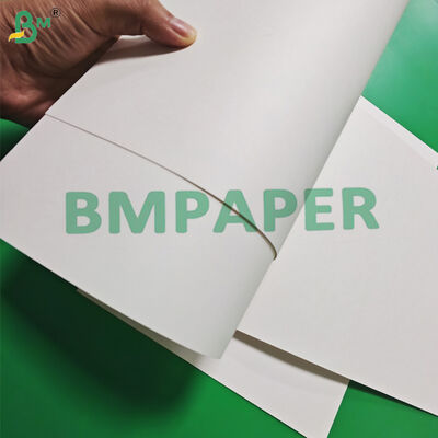 Leak - proof 260gsm + 15g PE Coated Paper For Instant Noodle Bowl Oil Resistant