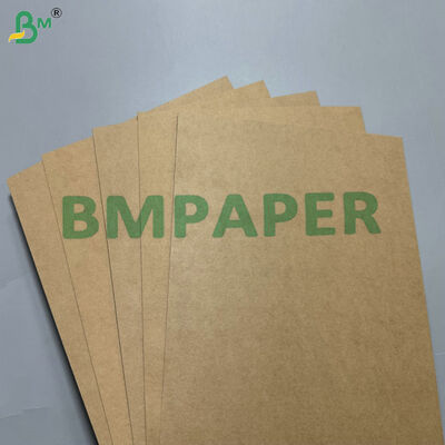Grease & Leakproof PE PP Coated 300–330gsmFood Container Paperboard for Takeaway Boxes Trays & Lunch Box Production