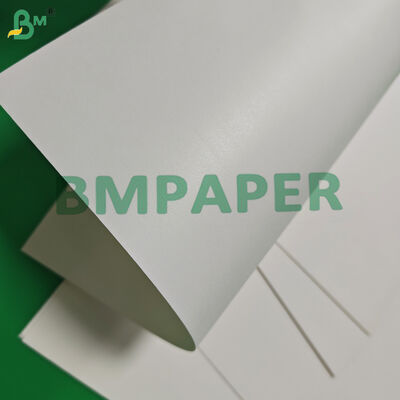 170gsm 190gsm Waterbased Single Coated Cupstock Paper Compostable 650mm