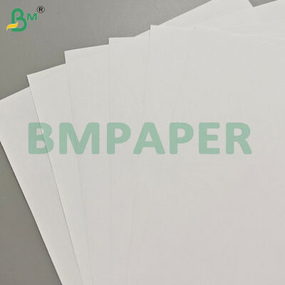 80gsm Light Weight Book Paper Jumbo Roll for Offset Printing