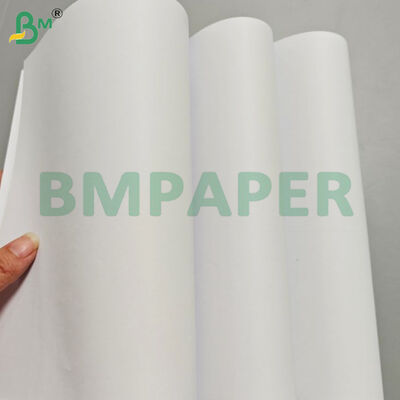 80gsm Light Weight Book Paper Jumbo Roll for Offset Printing