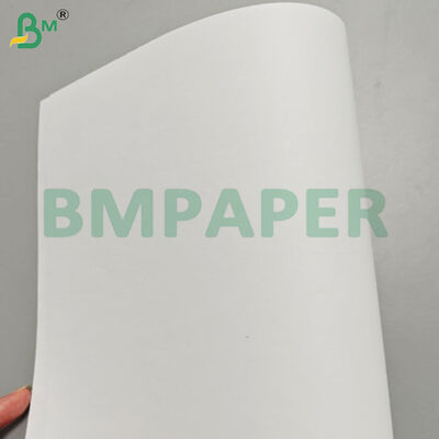 90gsm Cream Woodfree Book Paper Jumbo Rolls for Offset Printing