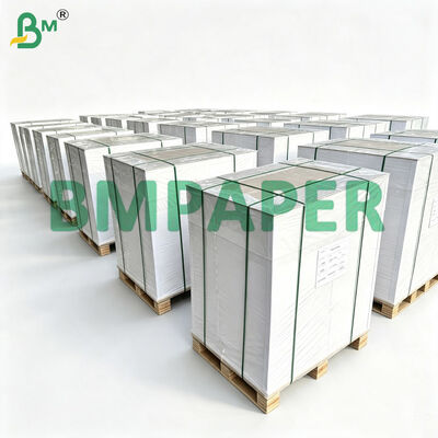 190g 230g 250g Ivory Board Coated Paper (C1S), 65cmx86cm Printing & Packaging Cardstock