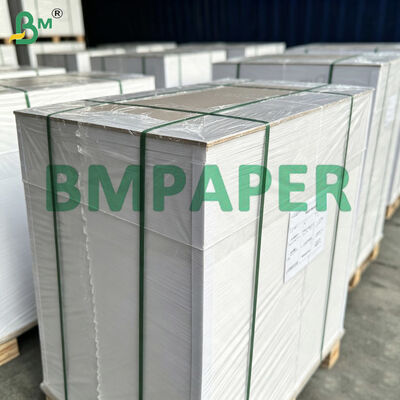 190g 230g 250g Ivory Board Coated Paper (C1S), 65cmx86cm Printing & Packaging Cardstock