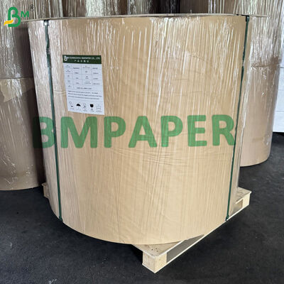 80gsm C1S Glossy Tea Bag Envelope Paper Flexo & Rotogravure Printable