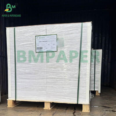 Single Side Gloss Blister Cardboard 350gsm for Toothbrush Clamshell Packing
