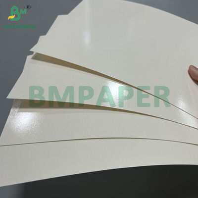 315gsm 320gsm PET Coated Foodgrade Board For Food Containers 102 x 72cm