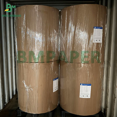 Good Wet Strength 50GSM 52GSM Food Contact Compliant Coffee Filter Paper