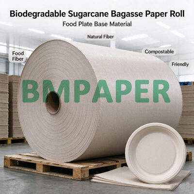 80g-300g Biodegradable Sugarcane Bagasse Paper Roll For Making Food Plate