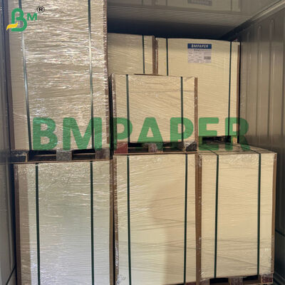 80g-300g Biodegradable Sugarcane Bagasse Paper Roll For Making Food Plate