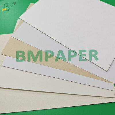 230g Compostable Recycled Sugarcane Bagasse Paper For Disposable Plates 1000mm