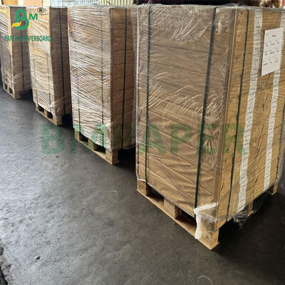 50gsm 400mm Food Safety White Color Coffee Filter Paper For Filters
