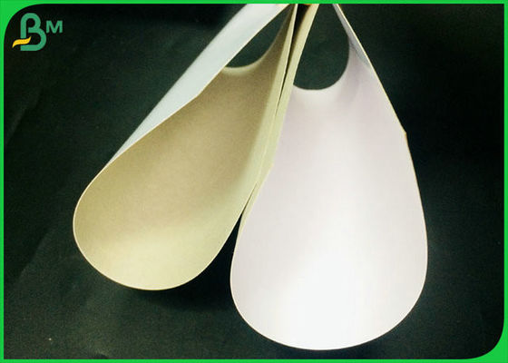 Recycled Pulp 230GSM 250GSM Coated Duplex Board Customized Size