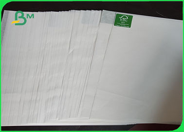 Oil Proof / Moisture Proof Plotter Paper Roll Chemical Pulp Type