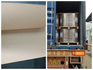 FDA Certificated Food Grade Paper Roll For Food Wrapping Virgin Pulp