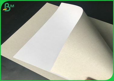 100% Recycled 180GSM 200GSM 250GSM Coated Duplex Board Sheet With 61*90 CM