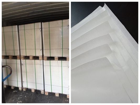 One Side PE Coated Food Grade Paper Roll For Lunch Box  FDA Certificated