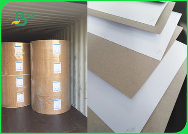 230gsm 450gsm Duplex Carton Shiny White Facade C1S Grey Back