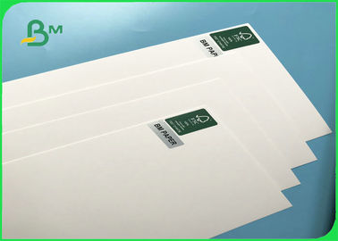 FSC 100% Wood Pulp 250gsm - 400gsm 70*100cm One Side Coated FBB Ivory Paper