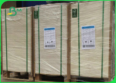 FSC 100% Wood Pulp 250gsm - 400gsm 70*100cm One Side Coated FBB Ivory Paper