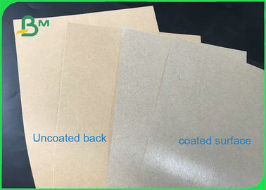 160gsm+10gsm PE Coated Paper , Greaseproof Brown Paper Roll For Food Packages