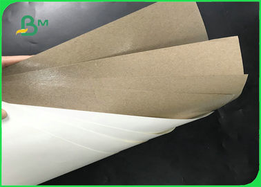 Food Grade 160gsm + 10gsm PE Single Coated Kraft Paper Roll For Food Packages