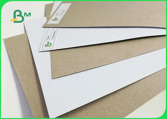 ISO Certified 250gsm 300gsm 350gsm Coated Duplex Board With Grey Back For Packing