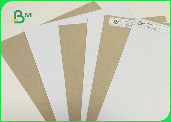 ISO Certified 250gsm 300gsm 350gsm Coated Duplex Board With Grey Back For Packing