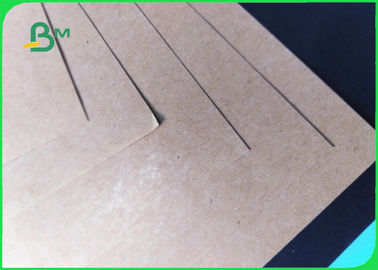 PE Coated Brown Kraft Paper Waterproof 50 - 500gsm For Takeaway Box